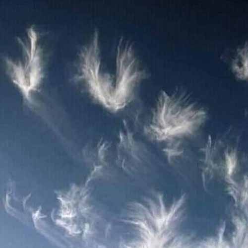 Immagine di parole e nuvole