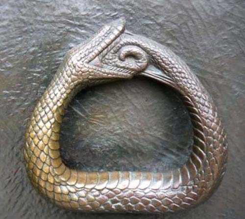 serpente-morde-coda-2 500