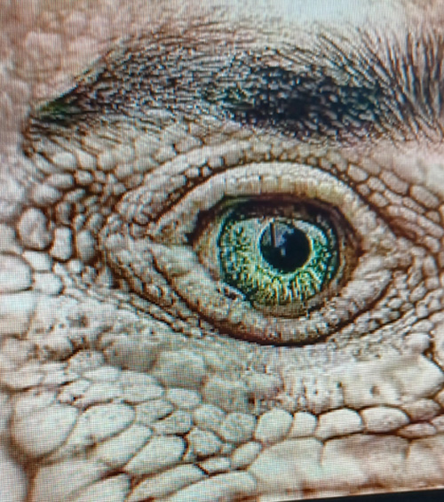 Occhio del serpente