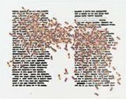 Emilio Isgro Odissea cancellata. 2004