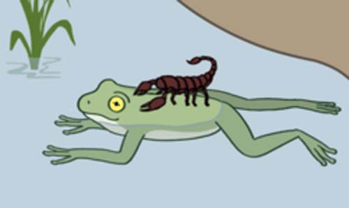 Scorpion_and_the_frog_kurzon
